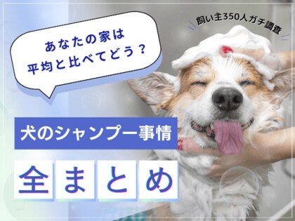 【飼い主350人に調査】あなたの家庭は多数派?愛犬のシャンプー事情で分かった意外な傾向