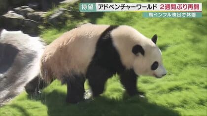 パンダも元気な姿　アドベンチャーワールド営業再開　殺処分の鳥など弔う献花台も【和歌山発】