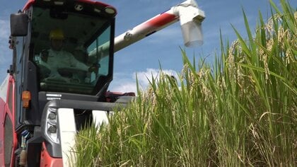 生産コスト上昇に“見合わない”コメの値下がり　農家は苦悩「国は何もしない」　大型機械の更新計画も立てられず