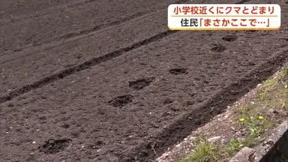 小学校や保育施設近くでクマ目撃相次ぐ　猟友会が駆除　目撃の個体と同一か　秋田・横手市