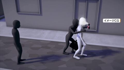 スプレー噴射しバッグ奪う手口　強盗致傷容疑で男2人逮捕　飲酒後にターゲット探し　直前に別の場所で同様事件　埼玉