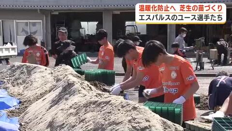 温暖化防止へ！校庭を芝生化　清水エスパルスのユース選手が芝生の苗づくり　４万本のポットに入れた苗を県内の学校へ　静岡