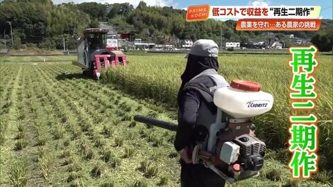 低コストで猛暑対策　米の「再生二期作」　価格36％下落と物価高騰に立ち向かう高知の78歳