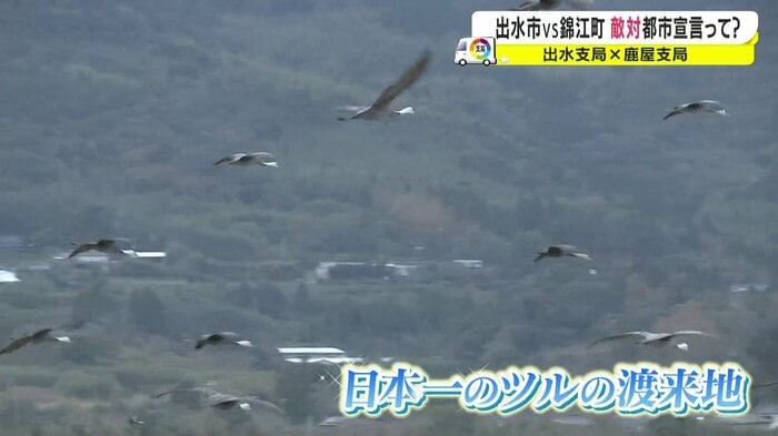 日本一のツルの渡来地・出水平野