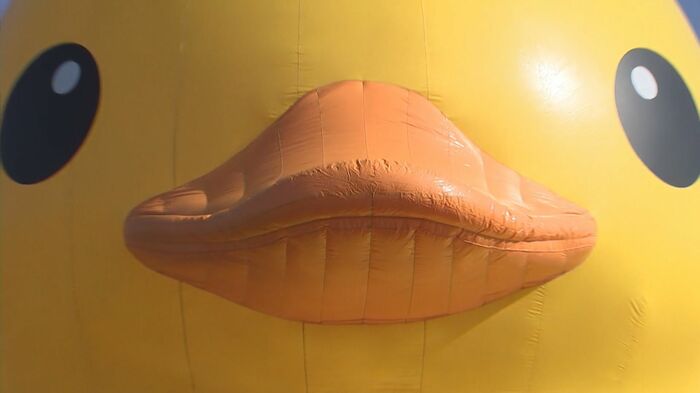 国東市のため池に設置された「ラバーダック」