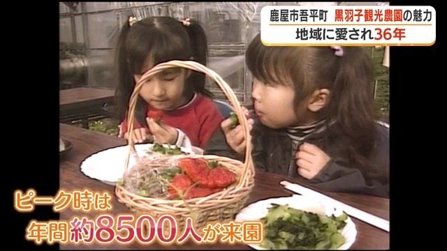 イチゴ狩りを体験した子どもたち