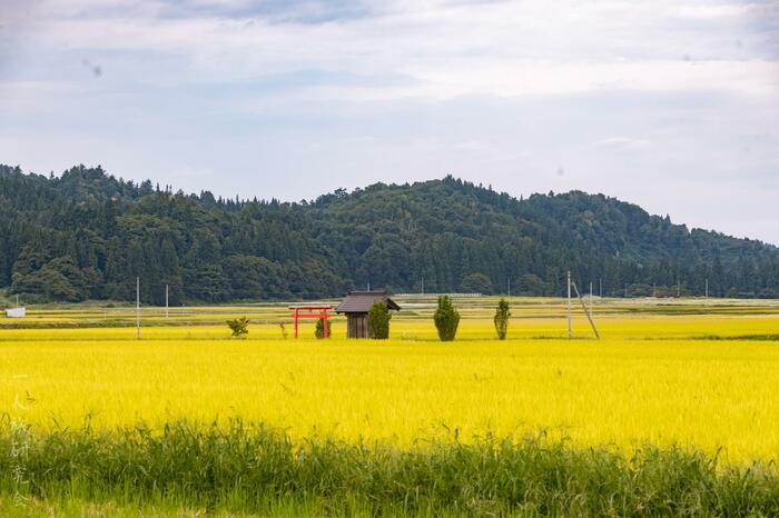 山形県・鶴子神社（2025年9月撮影）