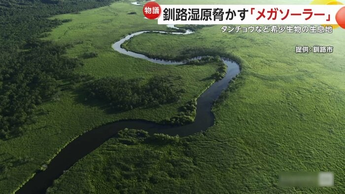 釧路湿原