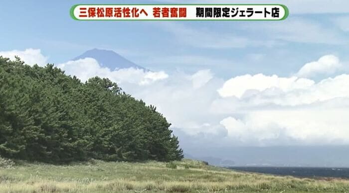 三保松原と富士山