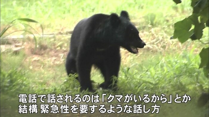 クマの出没が相次いだ2023年を振り返る柿木さん