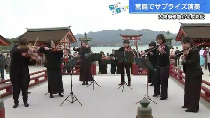 厳島神社で奉納演奏する「さくらぴあ市民オペラ管弦楽団」