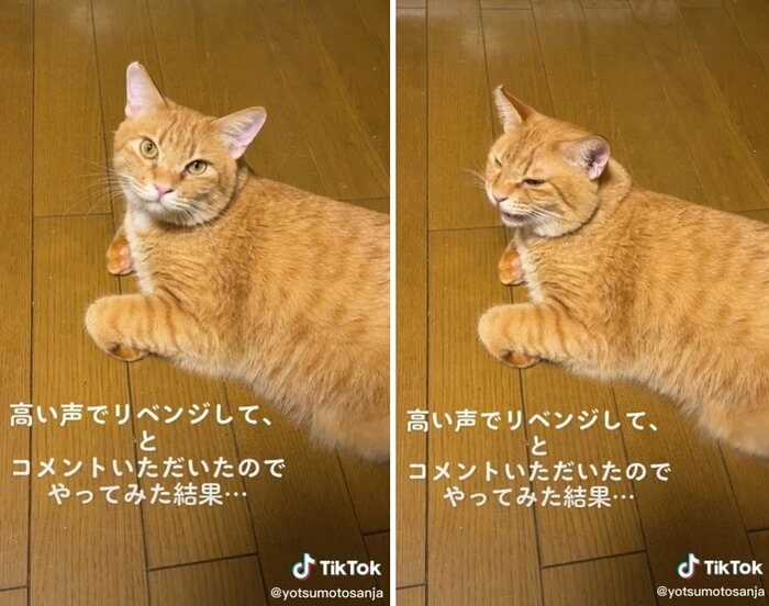 左が四元さん、右が奥さんへの反応