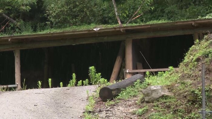 逃げ出した馬が飼育されていた農地（佐賀・基山町）