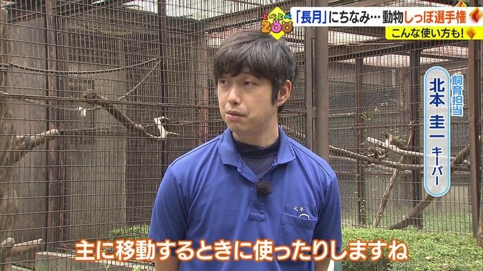 北本圭一キーパー