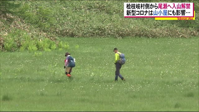 今年は『静かな尾瀬』 檜枝岐村からの入山解禁も…ワタスゲ・ニッコウキスゲがひっそりと<福島県>