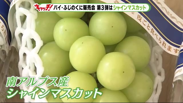 静岡・山梨“バイ・ふじのくに” 第3弾はシャインマスカット 静岡市