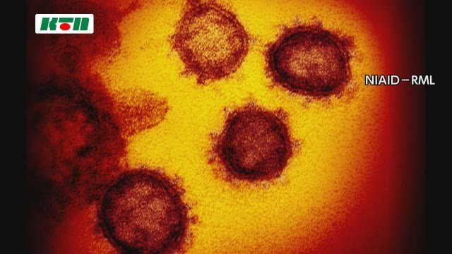 【速報】長崎県で新たに感染者確認 佐世保市で1人