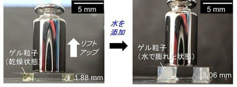 【大阪工業大学】吸水して膨らむゲル　立方体粒子でリフト機能