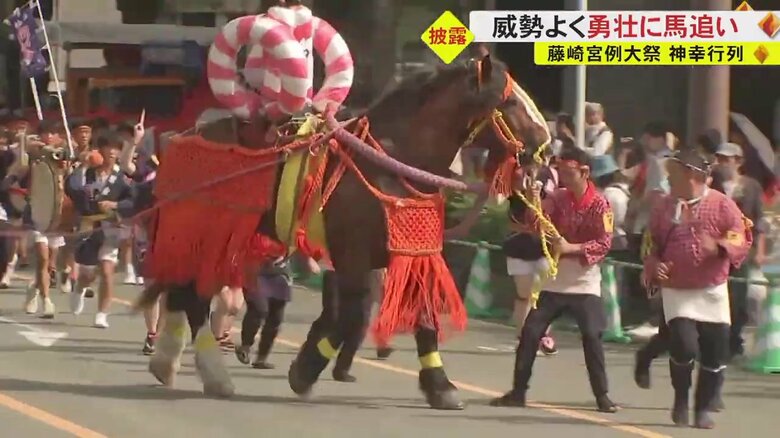 「藤崎八旛宮例大祭」 4年ぶりに通常規模で開催　勇壮な馬追い…飾り馬には約1万2000人の勢子が参加【熊本発】｜FNNプライムオンライン