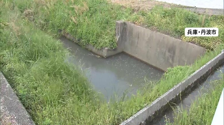 「自宅から子どもがいなくなった」1歳男児が用水路に誤って転落か…病院で死亡確認　コンビニの防犯カメラに1人歩く姿　兵庫・丹波市｜FNNプライムオンライン