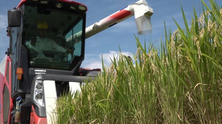 生産コスト上昇に“見合わない”コメの値下がり　農家は苦悩「国は何もしない」　大型機械の更新計画も立てられず｜FNNプライムオンライン