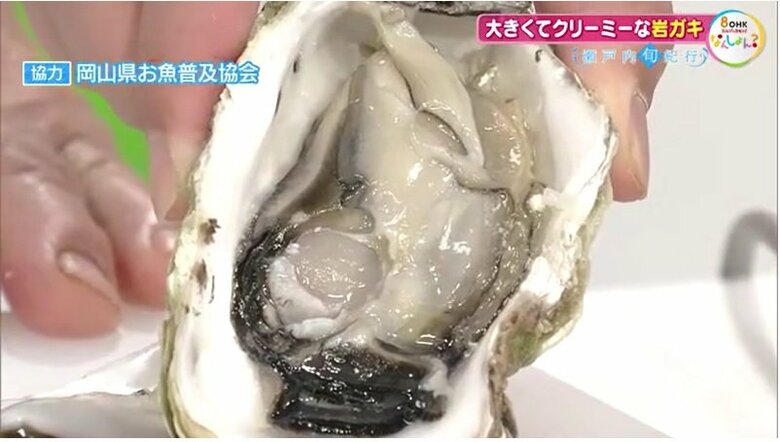 「海のミルク」が・・・現れた