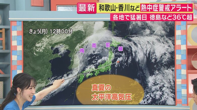 浅田麻実気象予報士