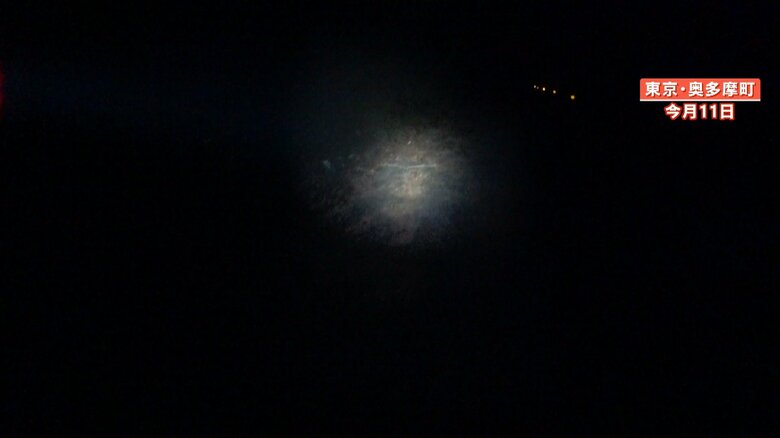 視界はヘッドライトのわずかな光のみ