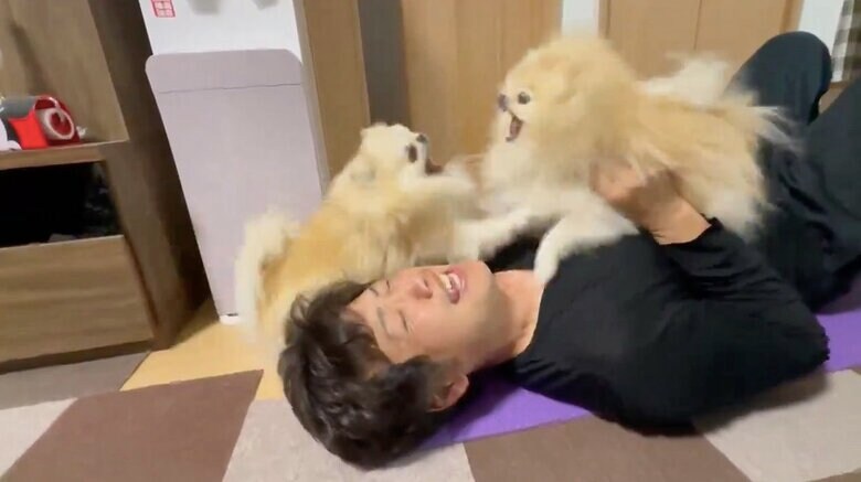 提供：愉快な3姉妹ポメラニアンちゃんねるさん