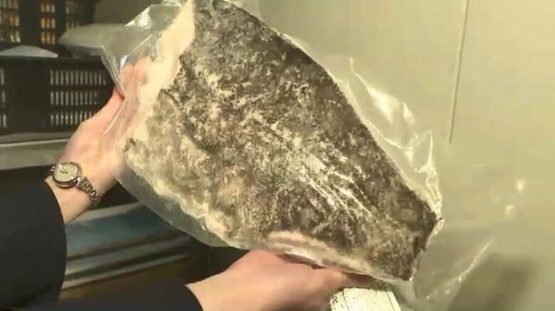 マイナス25℃のコンテナ使用で輸送に成功