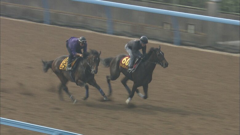 スターズオンアース