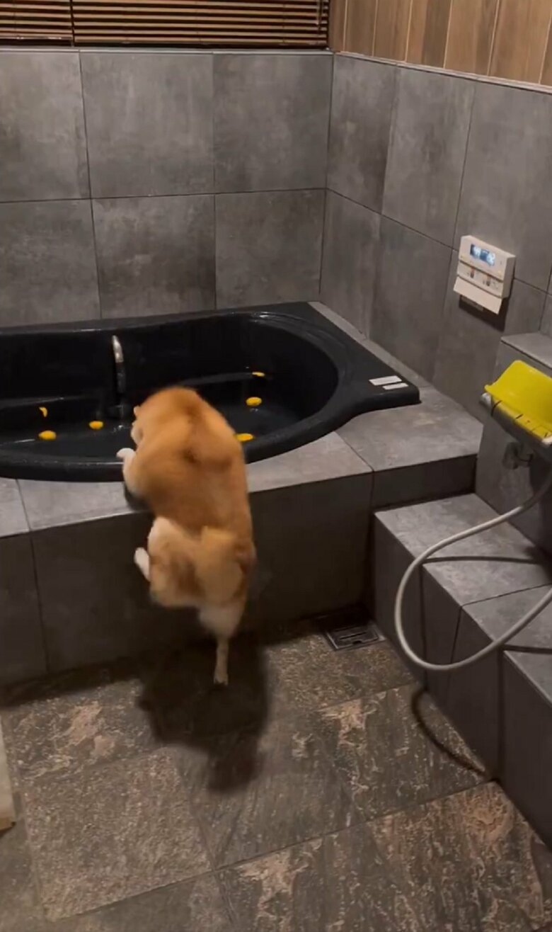 浴槽に入りたいけど