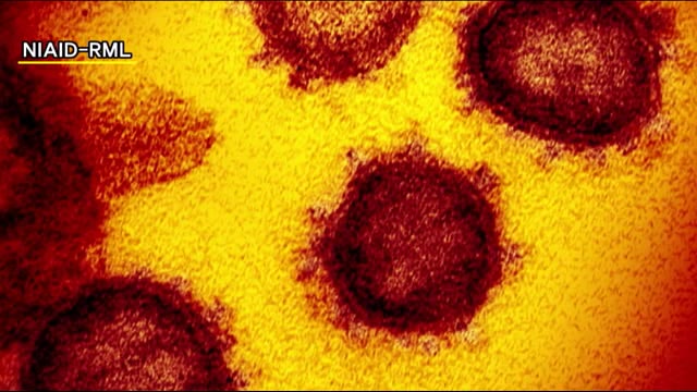 新型コロナ 福島県で6人の感染を確認 週単位で見ると減少傾向に
