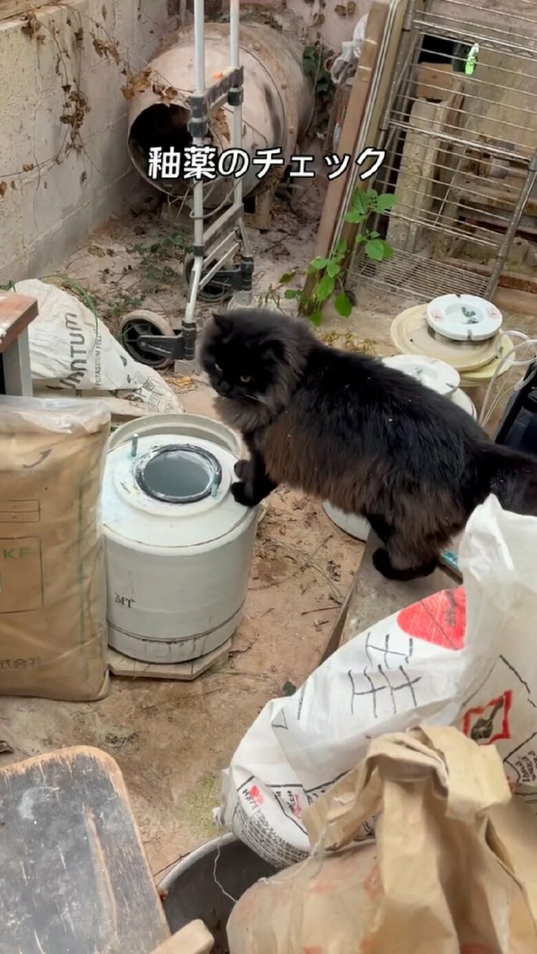 釉薬のチェック