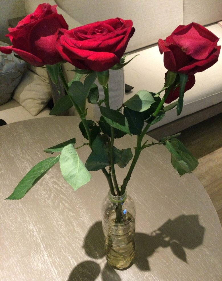 届けられたバラの花束