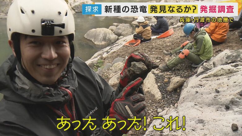 化石発見か？
