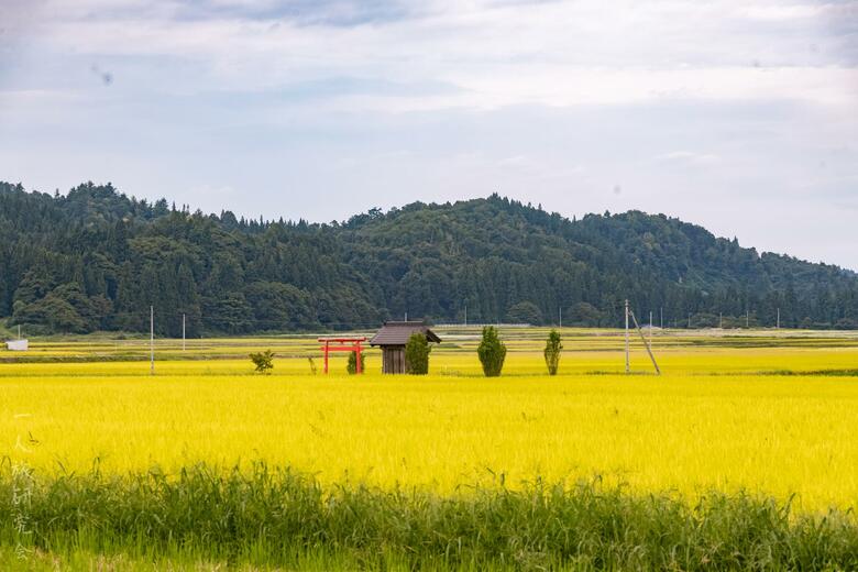 山形県・鶴子神社（2025年9月撮影）