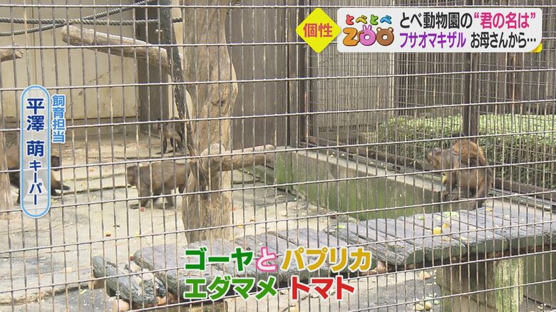 サルにつけられた野菜の名前　おいしそうな名前の由来は？