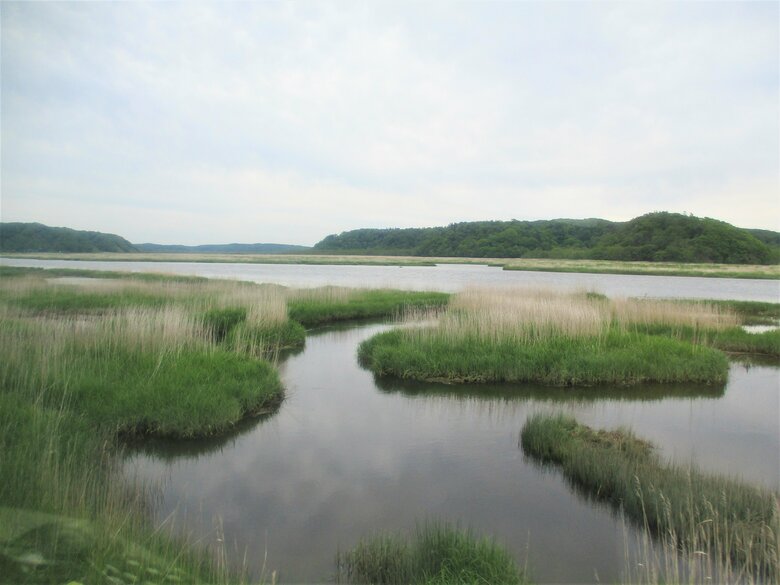 花咲線の車窓から撮った写真（提供：根室市）