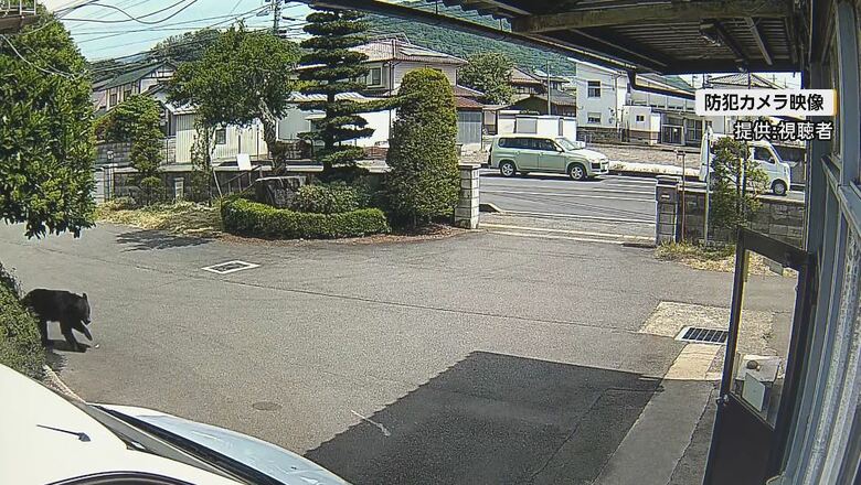 防犯カメラの映像（提供：視聴者）