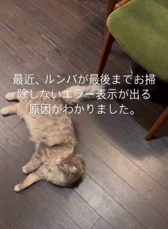 ロボットは椅子の下に…