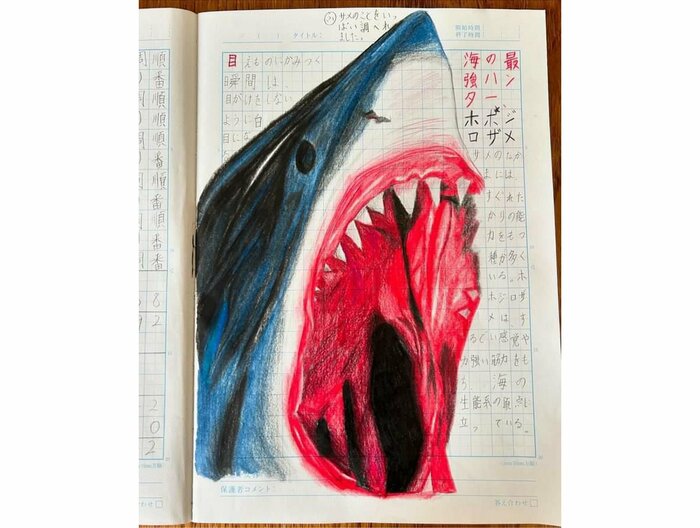 自主学習ノートに描いたホホジロザメ