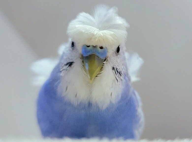 いのりさんを上からのぞき込んで観察中