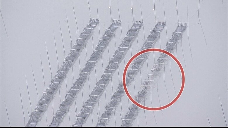 色が抜け透けているノリ網