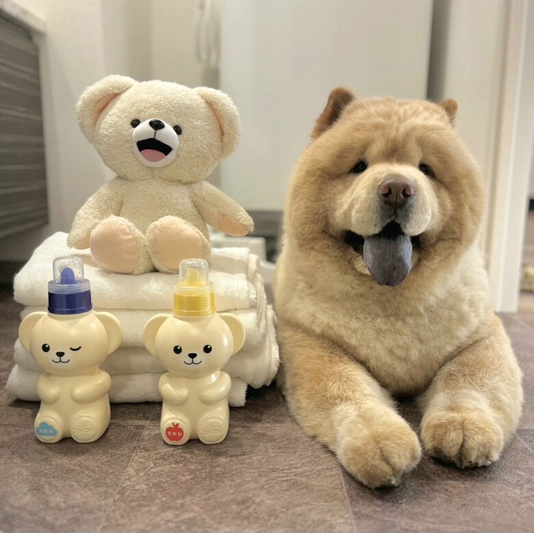 そっくりなお友達？