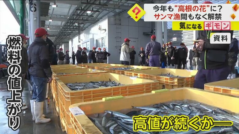 市場に並べられたカゴに入っているサンマ
