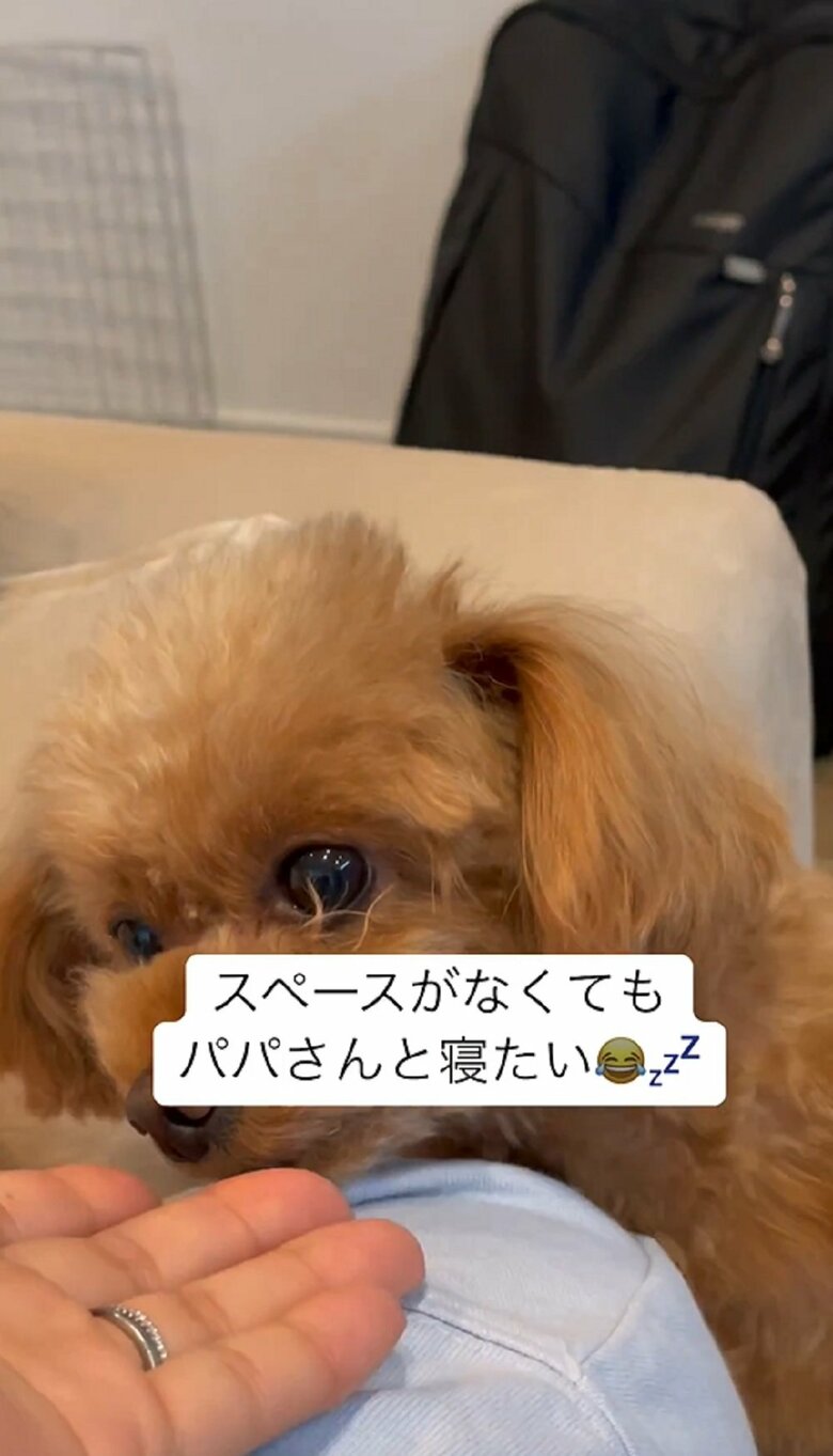 声をかけても動かないので顔を触って起こそうとするママさん