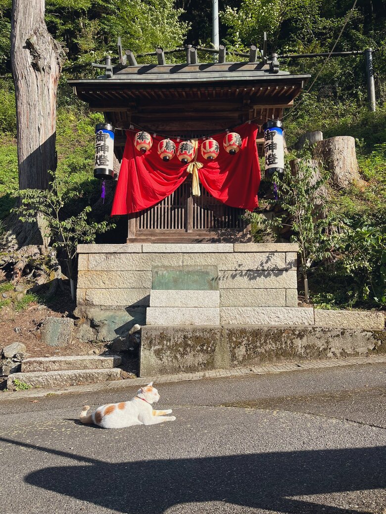 お社と猫