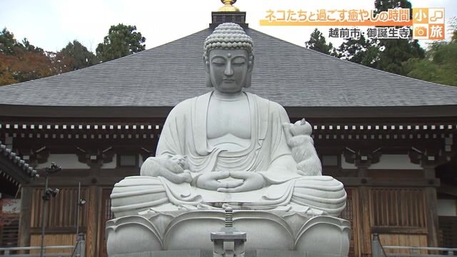 大仏に寄り添う2匹のネコ