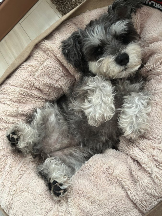 提供：くぅさん